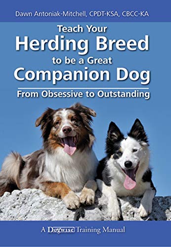 Teach Your Herding Breed to Be a Great Companion Dog, from Obsessive to Outstanding book cover
