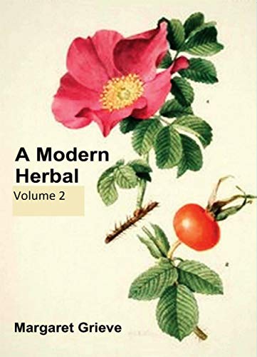 A Modern Herbal, Vol. II book cover