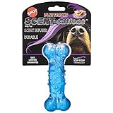 SPOT Play Strong Scent-sations Bone - Scent-Infused, Strong, Durable TPR Rubber, Heavy Duty Dog Toys for Aggressive Chewers up to 45lbs, Perfect for Small & Medium Breeds, 5in, Bacon Flavored