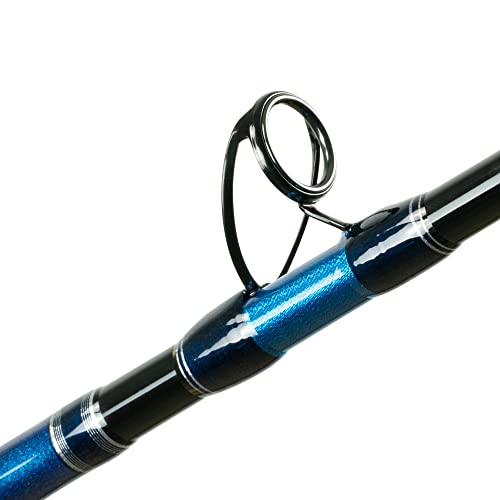 Shimano TALAVERA BOAT CASTING TEC66HC