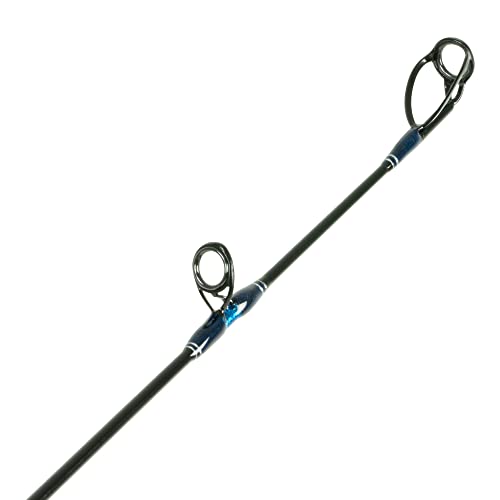 Shimano TALAVERA BOAT SPINNING TES70HC