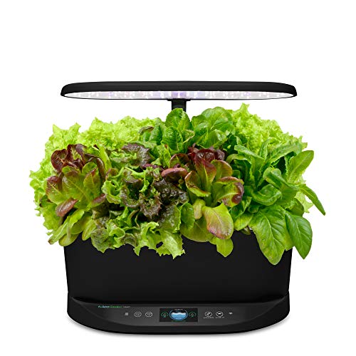 AeroGarden Bounty Basic