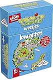 Vakantielanden weetjes kwartet
