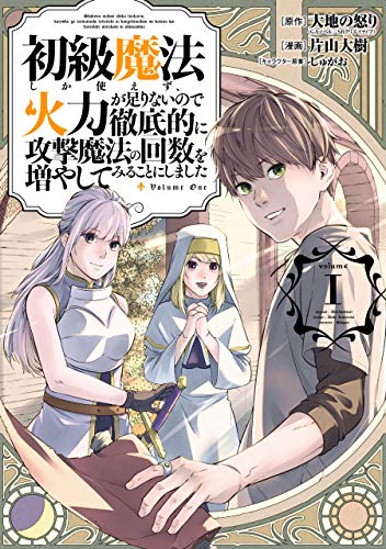 初級魔法しか使えず、火力が足りないので徹底的に攻撃魔法の回数を増やしてみることにしました 表紙