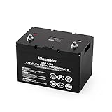 Renogy 100Ah LiFePO4 Lithium Battery