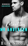 Meeting Mr Anderson The Men Series Interconnected Standalone