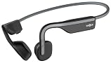 Shokz OpenRun Headphones
