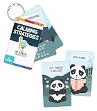 Carson Dellosa Be Clever Wherever Calming Strategies Things on Rings Flash Cards, Mindfulness Cards with Emotional Regulation Tools for Kids, Calm Down Corner Supplies and Classroom Essentials