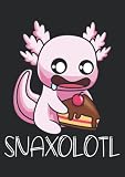 Notizbuch A4 Kariert Mit Softcover Design Kuchen Axolotl Kon