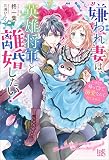 嫌われ妻は、英雄将軍と離婚したい! いきなり帰ってきて溺愛なんて信じません。