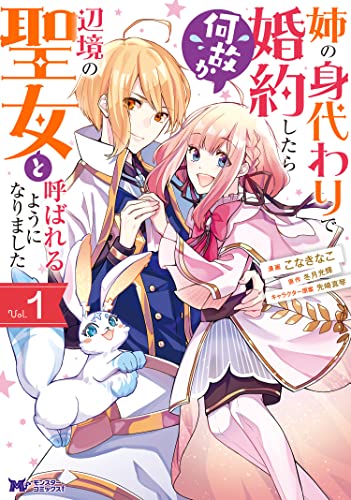 姉の身代わりで婚約したら何故か辺境の聖女と呼ばれるようになりました 表紙