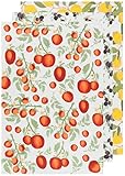 Now Designs Mediterranean Cotton Floursack Kitchen Dish Towe