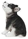 Siberian Husky Puppy Howling