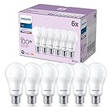 Philips LED A60 E27 13W Pack 6 dentro de los tipos de bombillas