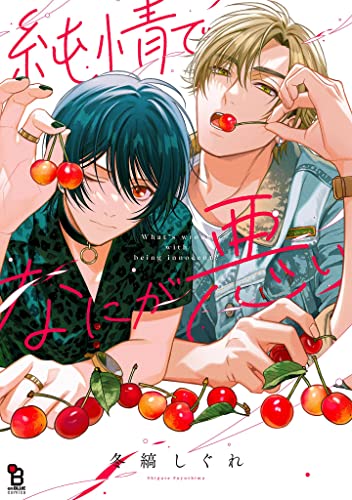 Γ 冬縞しぐれ 『純情でなにが悪い』 直筆サイン入り　アクリルプレート Kindle
