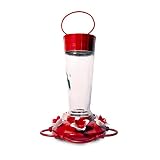 Pennington Pride Glass Hummingbird Feeder 10 Ounces
