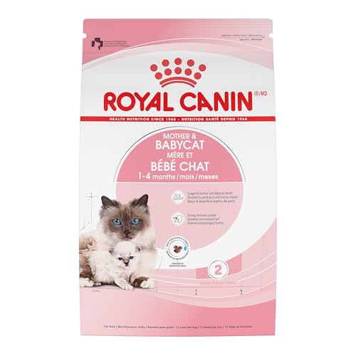 Royal Canin Feline Health Nutrition Mother & Babycat Queen Dry Cat Food, Bag