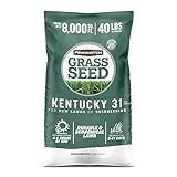 Pennington Kentucky 31 Fescue 40 LB Tall Fescue Grass Seed, Grass Seeds for Lawn