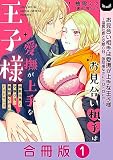 お見合い相手は愛撫が上手な王子様～溺愛社長と交際０日、強制婚なのにトロトロに!?～【分冊版】 （1）