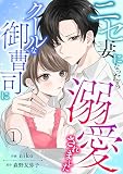 ニセ妻になったらクールな御曹司に溺愛されました【合本版】 （1）