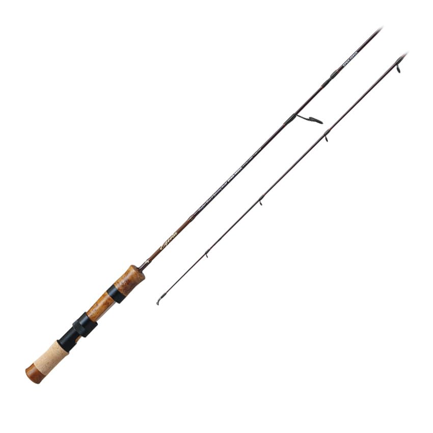 Palms Egeria NATIVE PERFORMANCE EFNS-39XUL
