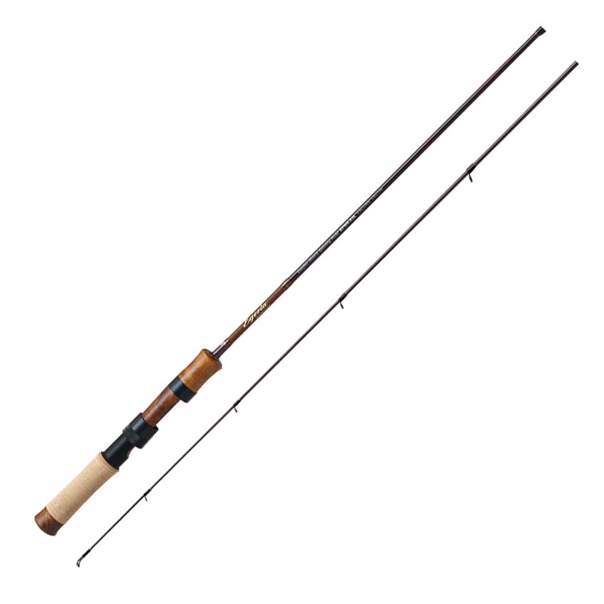 Palms Egeria NATIVE PERFORMANCE EFNS-53L