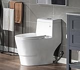 Woodbridgee One Piece Toilet With Soft Closing Seat Chair He