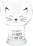 Pavilion Gift Company Drink Beer Pet My Cat 15 Oz Pilsner Be