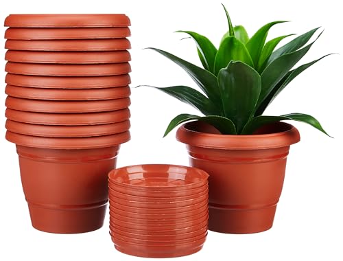 Amazon Brand - Solimo Round Pots for Plants with Bottom Tray|Lightweight|Indoor and Outdoor Flower Pot for Home/Office/T...
