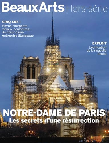 Notre-Dame de Paris, les secrets d'une résurrection