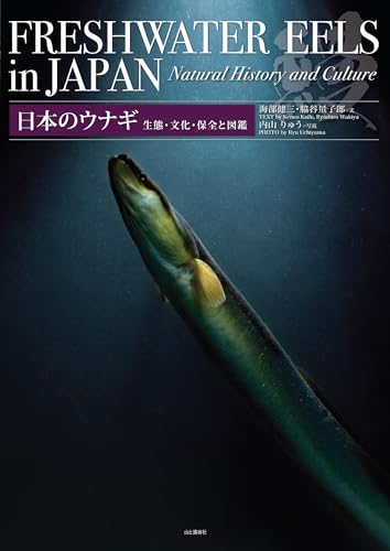 日本のウナギ