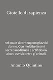 Gioiello di sapienza — Avvisi d’arme
