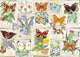 Wonder Forge Butterfly Splendor 1000 Piece Jigsaw Puzzle for Adults | Unique, Perfectly-Fitting Pieces | Fun, Vibrant Imagery | Amazon Exclusive
