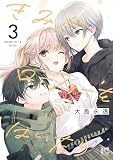 きみがローファーをはいたら【電子特別版】　3 (プリンセス・コミックス)