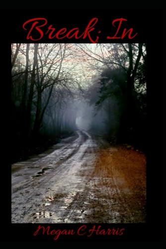 Cover of Break; In