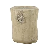 Acme Gene Environmental Friendly Cement Concrete Accent Table in Natural Brown