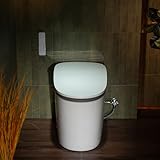 Woodbridge Smart Toilet With 1000G Map Flush Score Foam Shie