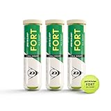 Dunlop Fort All Court TS Mejores Marcas de Bolas de Tenis