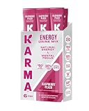 Karma Energy Hydration Packets – 6 Pack, Raspberry Peach Drink Mix with Cognizin® Nootropics, Vitamins & Immune Support, Low Calorie