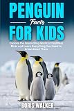 Penguin Facts For Kids Explore The Fascinating World Of Flig