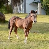 Standing Horse Hi Line Exclusive