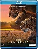 Kingdom