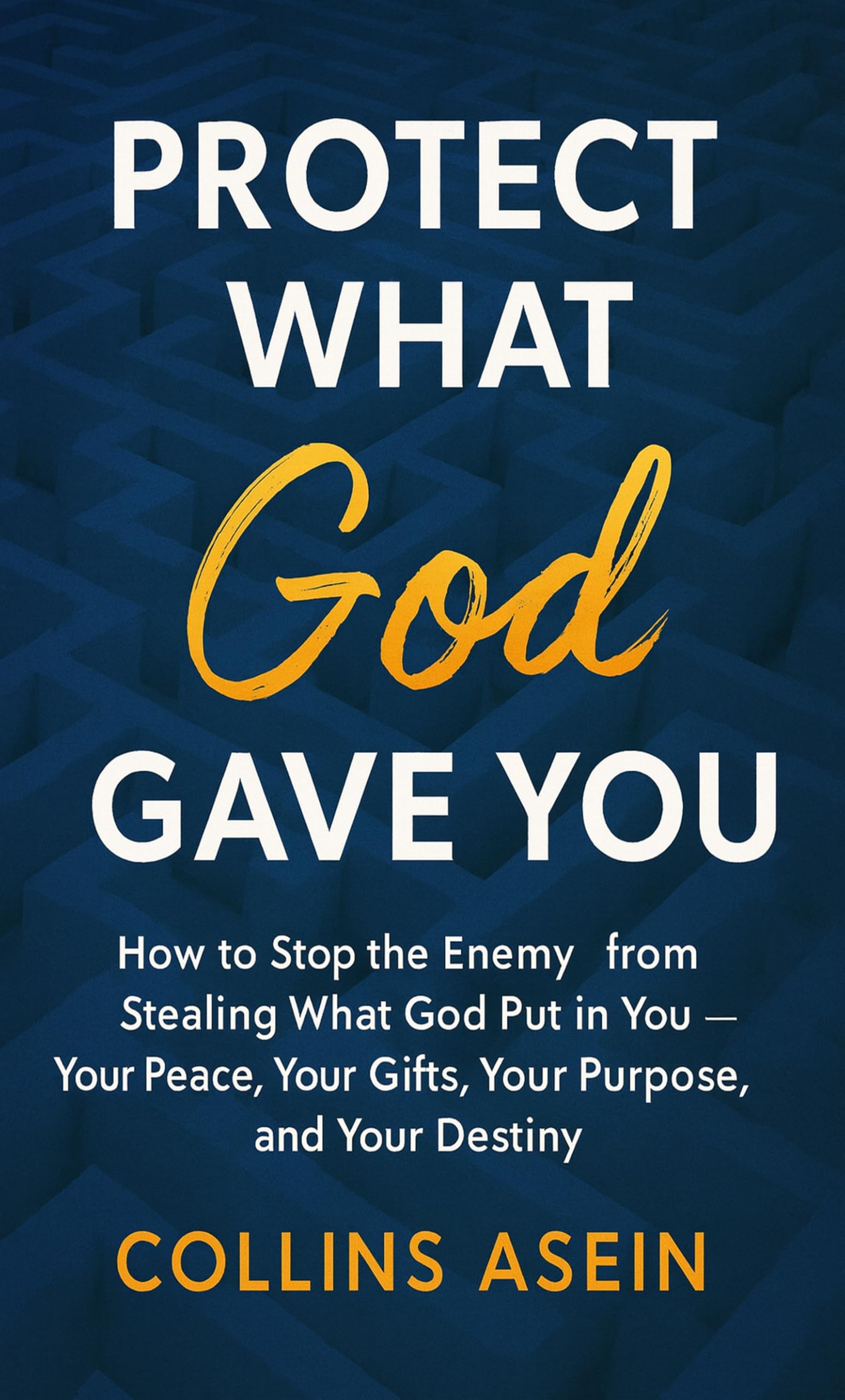 Protect What God Gave You by Collins Asein