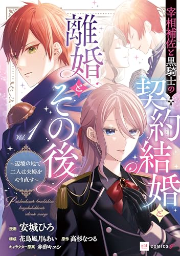 宰相補佐と黒騎士の契約結婚と離婚とその後 ～辺境の地で二人は夫婦をやり直す～ 1巻