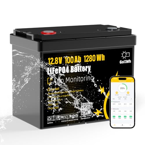 GOKWH 12V 100Ah LiFePO4 Marine Battery with Bluetooth APP, 1280Wh Deep Cycle…