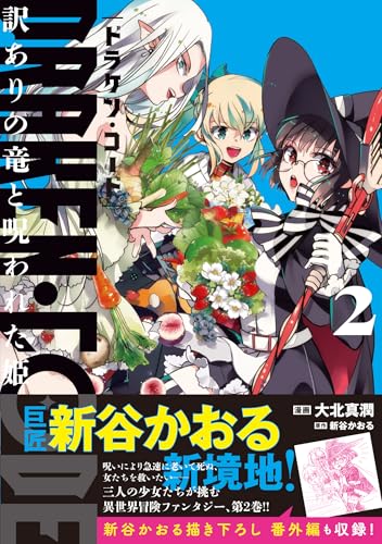 DRAKEN・CODE 訳ありの竜と呪われた姫 2巻