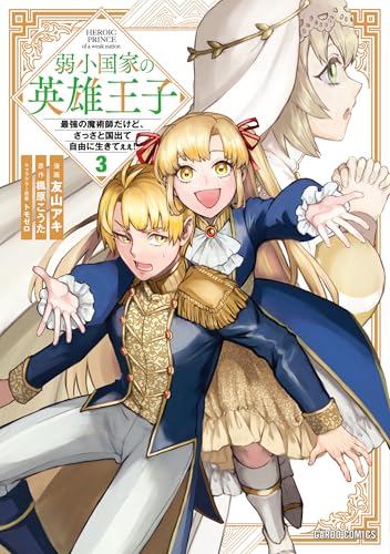 弱小国家の英雄王子 ～最強の魔術師だけど、さっさと国出て自由に生きてぇぇ！～ 3巻