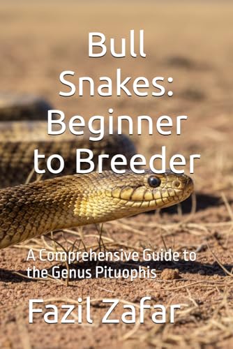 Bull Snakes: A Beginner's Comprehensive Guide to Pituophis