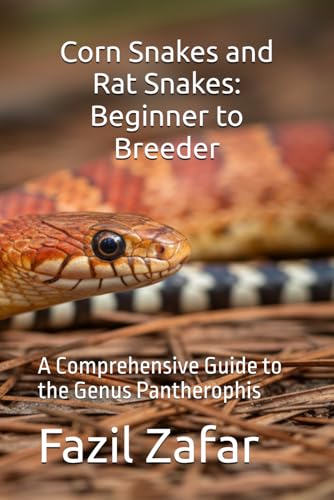 Corn Snakes & Rat Snakes: A Beginner's Comprehensive Guide to Pantherophis