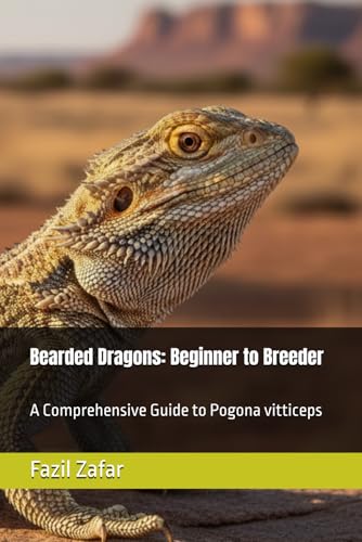 Bearded Dragons for the Beginner: A Comprehensive Guide to Pogona vitticeps